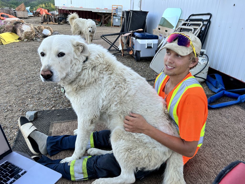 gage and doggo